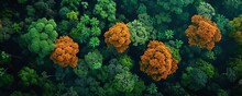 Satellite Imagery Analysis Of Deforestation, Vibrant Earth Tones, Digital Screen Effect, Digital Art
