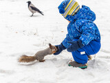 Fototapeta Nowy Jork - A little child in winter feeds a squirrel with a nut.
