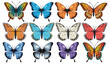 Assorted vibrant butterflies in various colors and patterns
