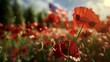 poppy flowers on the background of the flag of the United States of America