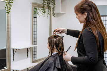 Woman professional hairdresser doing hair styling to client in beauty salon, cutting the ends of the hair, stylist doing hair care procedures