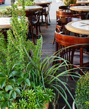 Fototapeta  - restaurant terrace with different plants