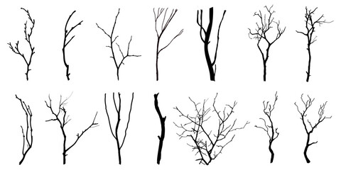 Black Branch Tree or Naked trees silhouettes set. Hand drawn isolated illustrations.