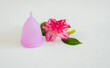 Pink menstrual cup with flower and green leaves side view. Women health