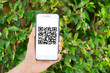 Scanning QR code with mobile smart phone over nature background. Qr code payment