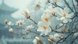 Blooming magnolia branch. Spring background for greeting card, banner design, website