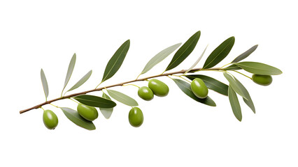 olive png, green olive png, green olive fruit png, olive with branch png, group olive fruit png, oli