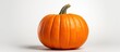 © vxnaghiyev - A pumpkin sits alone on a white background providing ample empty space for additional images or text