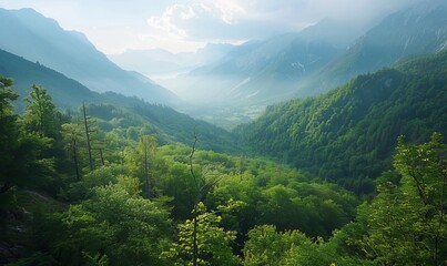 Wall Mural - View of the Soca Valley, with forests and mountains. Soca Valley, Slovenia