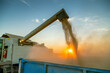 Combine harvester pours soybean into a trailer at sunset, dust and warm light creating a dramatic scene