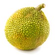breadfruit on white background