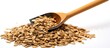 Wood turner shovels a heap of sunflower seeds on a white background The roasted seeds are a healthy grain food that aids in cancer prevention lowers cholesterol and promotes heart health Copy space i