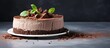 A homemade chocolate cheesecake with mascarpone cheese is showcased on a gray concrete background leaving copy space available