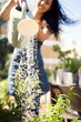 © peopleimages.com - Outdoor, florist and watering can for plants, woman and entrepreneur with apron, spring and growth of flower. Small business, nature and person in garden, ecology and service for shop and smile