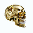 Golden skull, Isolated on white background. Side view. Digital illustration.
