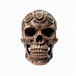 Human head skull. Isolated on white background. Mayan art style, Digital illustration.