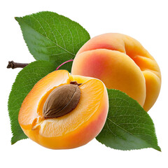 Ripe whole and half cut apricots with a green leaf, isolated on a white background