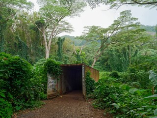 Manoa Falls Trail on the island of Oahu, Hawaii.