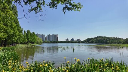 Canvas Print - Spring lake scenery, Irwol Reservoir park in Suwon, Korea