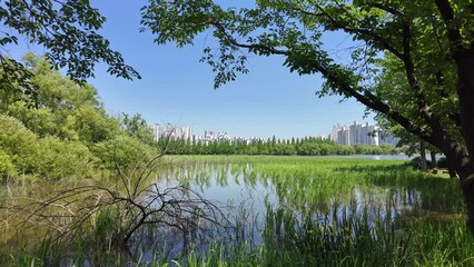 Sticker - Lake and city view, Irwol Reservoir park in Suwon, Korea