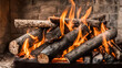 Burning firewood in the fireplace
