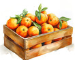 Wooden crate with oranges. Isolated watercolor illustration on white background. 