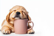 funny dog feeling exhausted half asleep while drinking a hot drink in mug Isolated on white background copy space