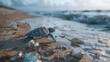 A small turtle walks along a beach littered with garbage. This scene is reminiscent of the impact of human waste on the environment