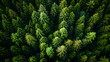 A photo featuring community-led initiatives for climate action and environmental stewardship, captured from above with a drone. Highlighting grassroots efforts to reduce carbon emissions and promote e