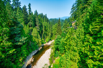 Canvas Print - Capilano Bridge Park on a sunny summer day, North Vancouver, Canada