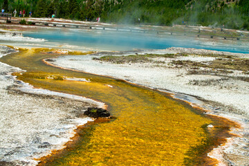 Poster - Black Diamond Pool Geysers at Yellowstone National Park. Biscuit Basin Trail