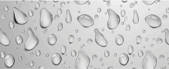 Wall Mural - drops of water on a white background