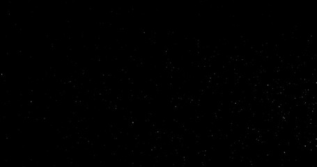 Wall Mural - Natural Organic Dust Particles Floating On Black Background. Dynamic Dust Particles Randomly Float In Space. Shimmering Glittering Dust Particles With Bokeh. Slow motion on Black Background.