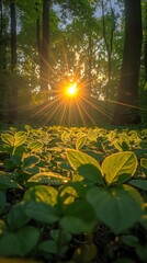 Wall Mural - quiet nature landscape narrow nature trail in green forest with sunlit, vertical 9:16 ratio background, beautiful nature , Generative Ai