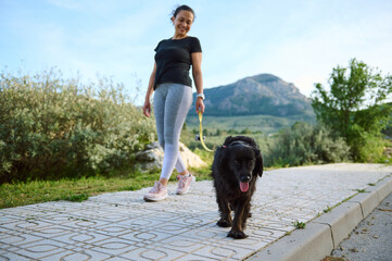 Wall Mural - Focus on a beautiful purebred pedigree black cocker spaniel dog pet being walked on leash outdoors, against mountains nature background