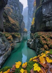 Poster - the water is green and has fall colored leaves on it