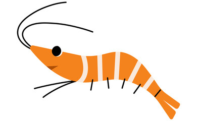 Shrimp single 1 cute, png illustration.