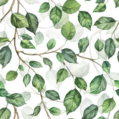 Naklejka na meble Square seamless pattern with ivy creeper plant. Watercolor hand painted green leaves background. Wallpapers and wrapping paper design