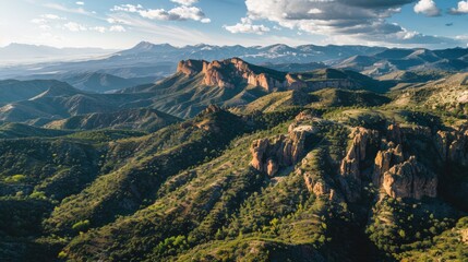 Wall Mural - Aerial view of the Gila Wilderness in New Mexico, USA, the first designated wilderness area in the world, featuring rugge