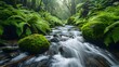 Journey Along a Winding Mountain Stream A Tranquil Path of Cascading Water Over Ancient Mossy Boulders and Lush Greenery