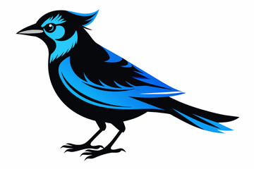A blue jay bird silhouette black vector artwork illustration 