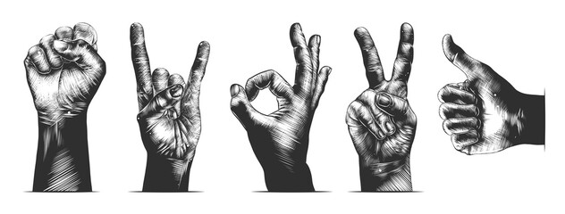 PNG engraved style hand gestures collection for posters, decoration, emblem and print. Hand drawn sketches of in monochrome isolated on white background. Detailed vintage woodcut style drawing.	
