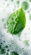 Shampoo foam surrounded by water drops with a green leaf floating in the foam. Green leaf in a shampoo foam with natural extracts.