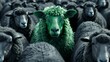 Green sheep standing out from the crowd