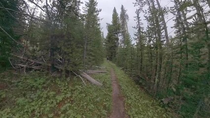 Poster - Hiking Uphill on Solfatara Creek Trail in Yellowstone National Park