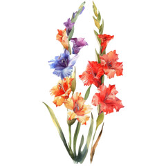 Wall Mural - gladiolus watercolor flower clipart cutout png isolated on white or transparent background