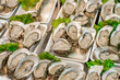 oysters raw  open sashes, in street market in Thailand, selective focus