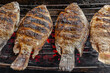 grilled bbq fish, street food, selective focus