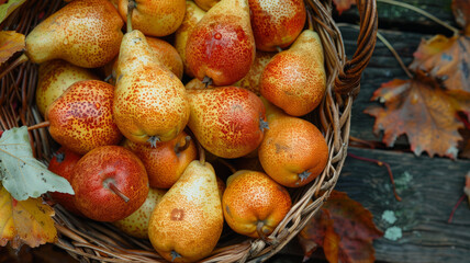 Wall Mural - A basket filled with ripe, colorful pears, surrounded by autumn leaves.