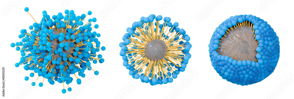 Soap molecules surrounding and capturing dirt froming micelles. The ...